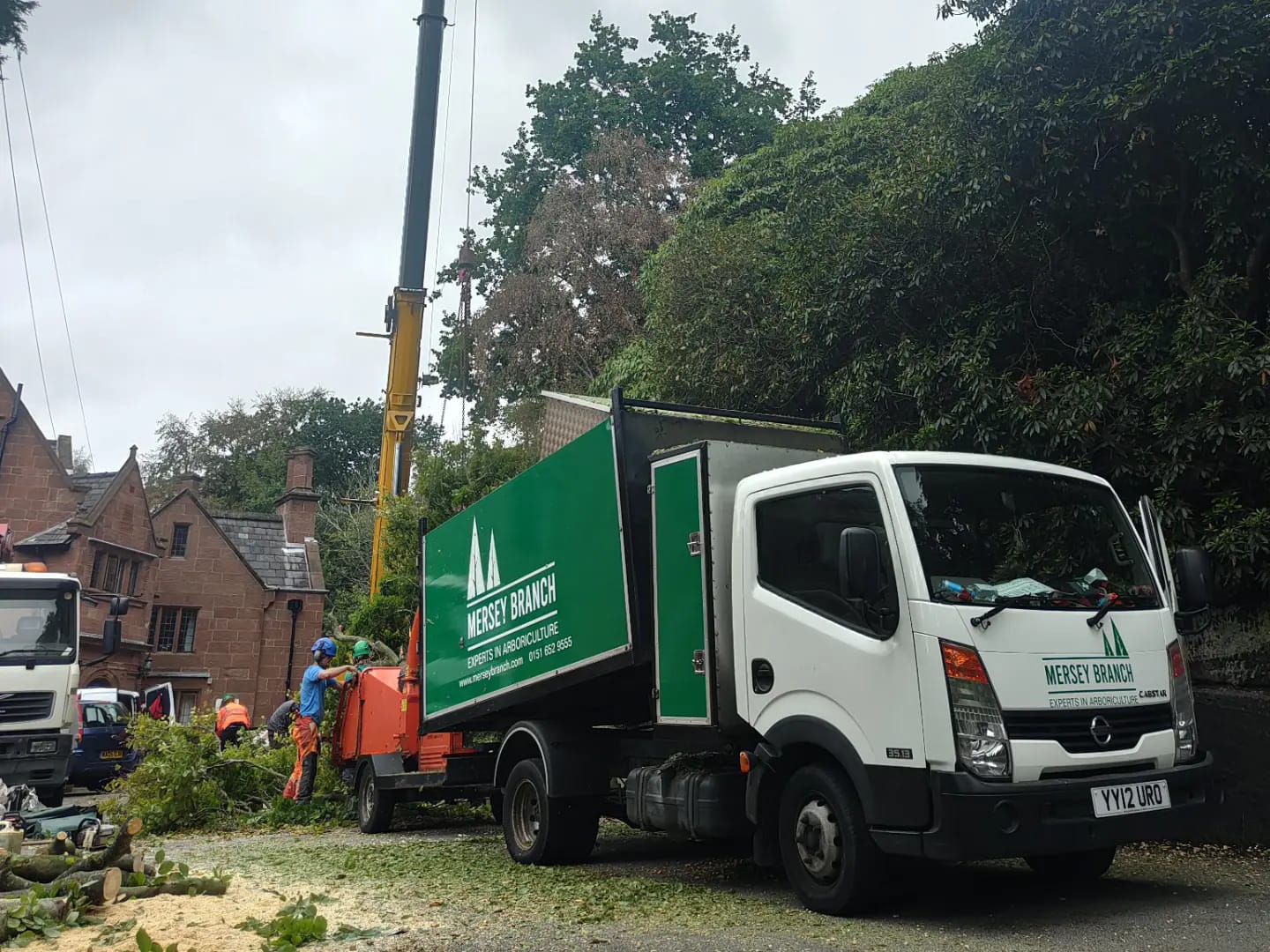 Load video: Wirral Tree Removal Expert